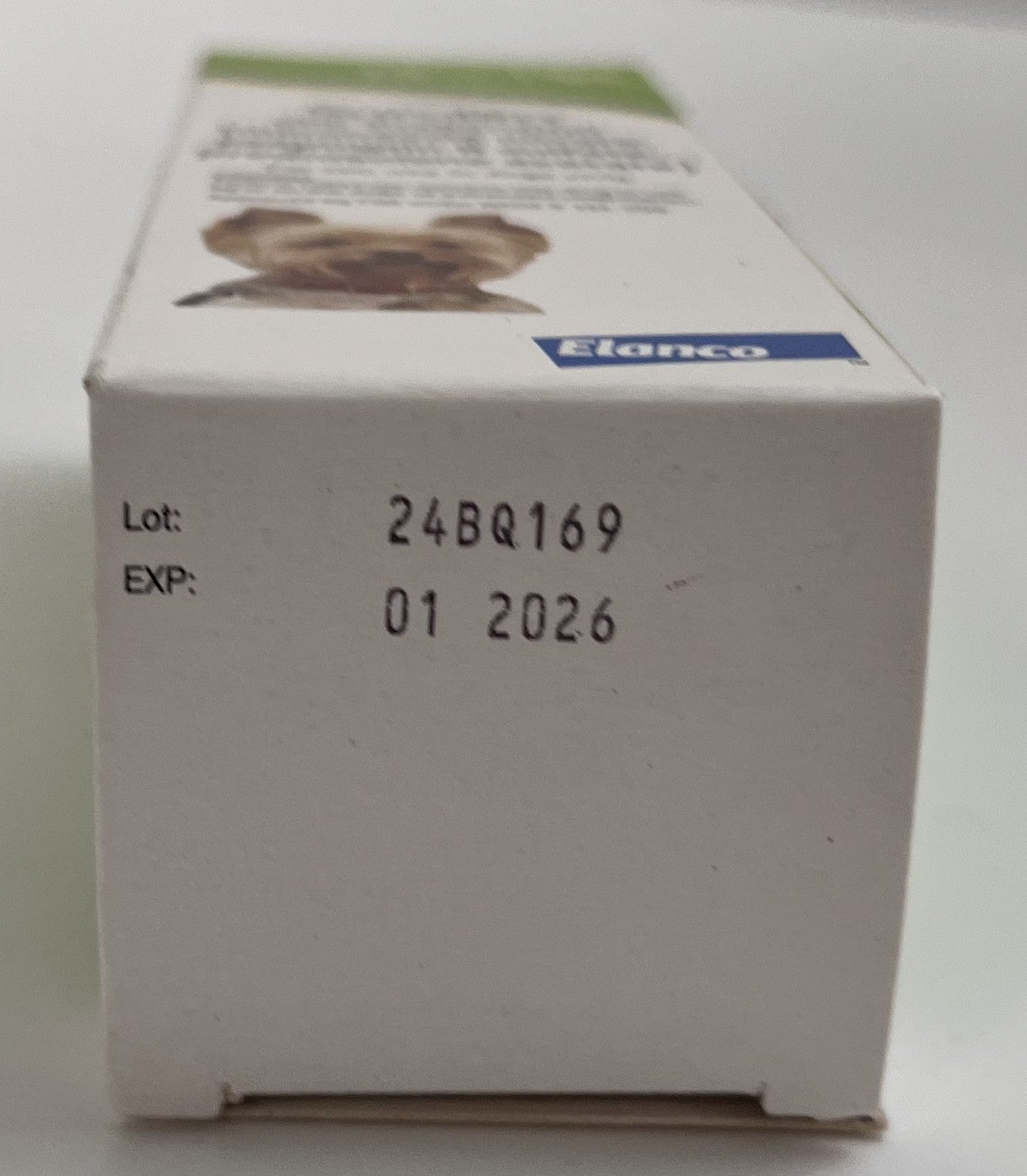 Surolan Otic Suspension for Dogs 15ml