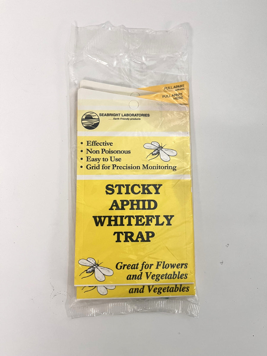 Seabright Sticky Aphid Whitefly Trap (5-Pack)