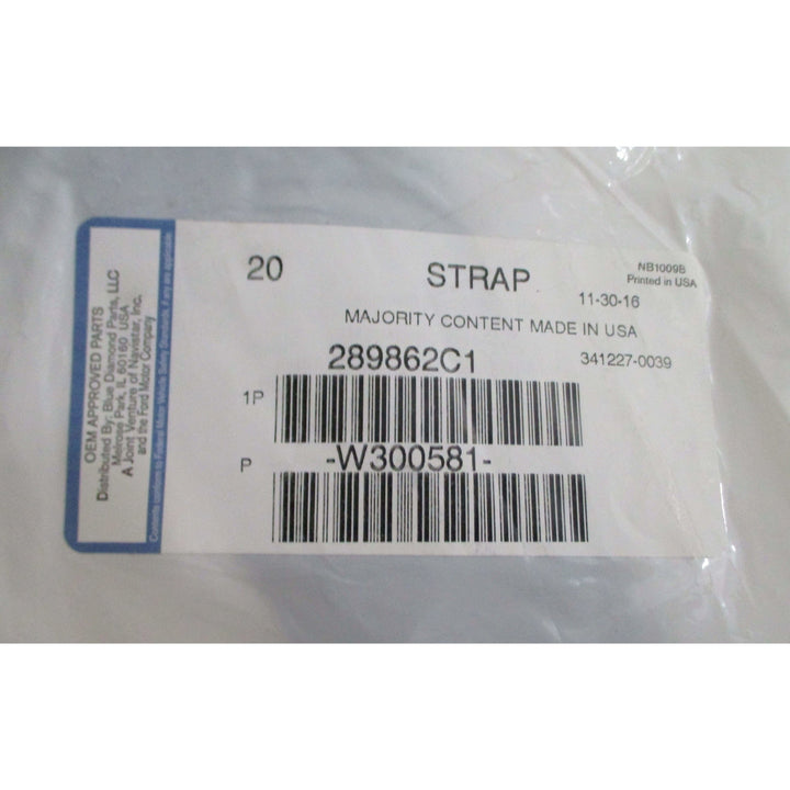 Navistar International Strap 289862C1 (Pack of 20)